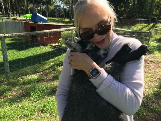 Summer on Our Farm:Update