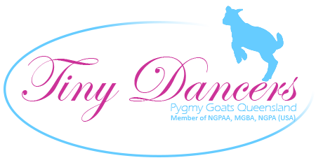 Tiny Dancers