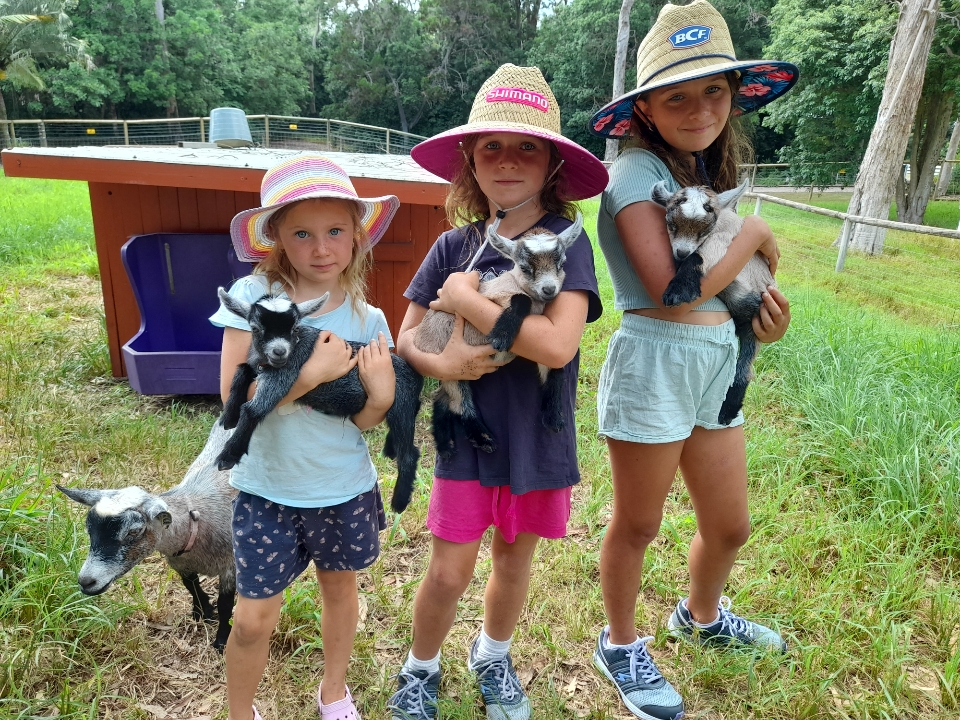 A Day on The farm